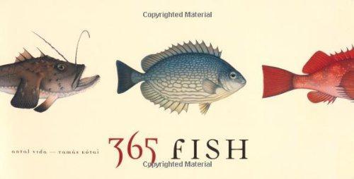365 Fish - Tamas Kotai