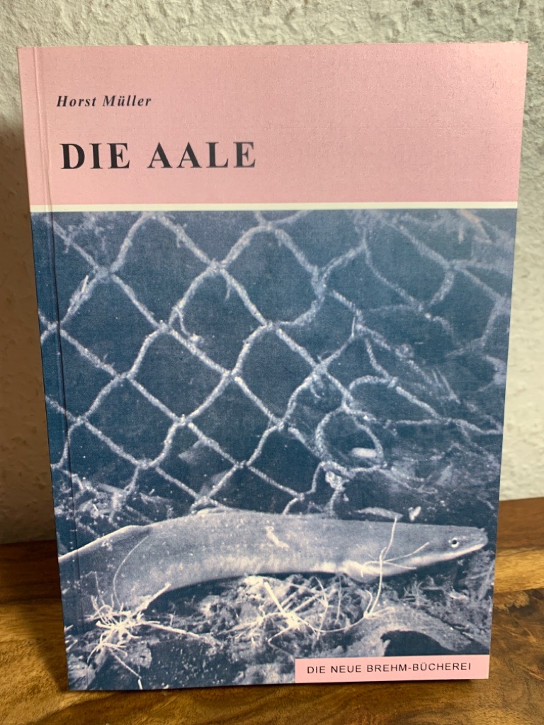 Die Aale. Lebenszyklus und wirtschaftliche Bedeutung der Wanderfische zwischen Meer und Süßwasser. - Müller, Horst