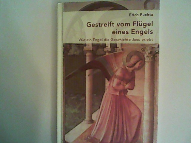 Gestreift vom Flügel eines Engels: Wie ein Engel die Geschichte Jesu erlebt - Puchta, Erich