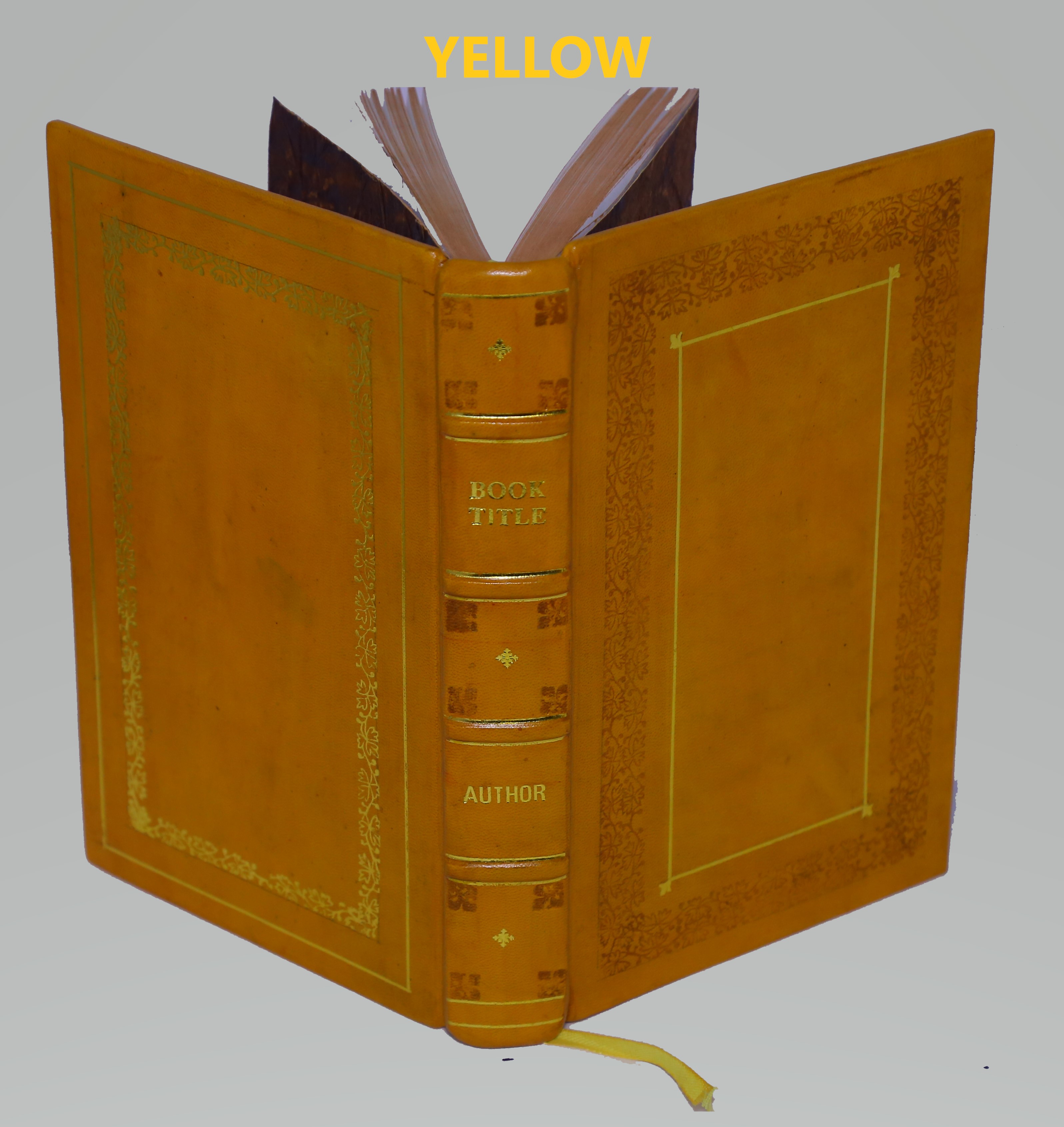 The Greek grammar : or, A short, plain critical, and comprehensive method of teaching and learning the Greek tongue . To which is added, a suitable vocabulary . / By John Holmes, master of the publick grammar school, in Holt, Norfolk. 1752 [PREMIUM LEATHER EDITION] - Holmes, John, -.