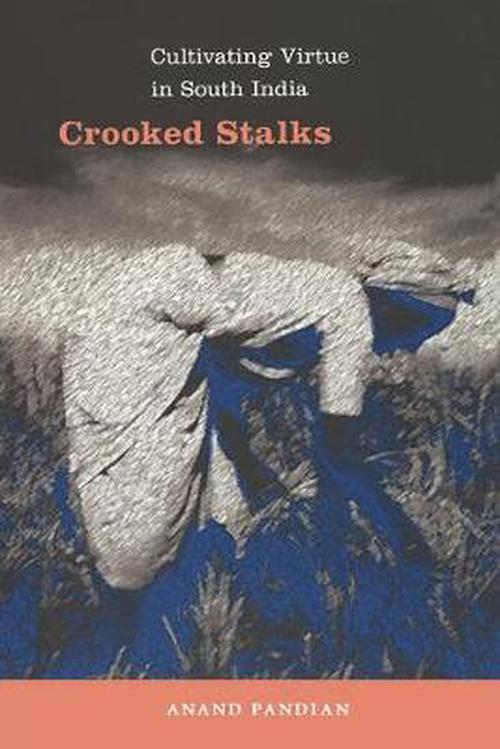 Crooked Stalks: Cultivating Virtue in South India (Paperback) - Anand Pandian