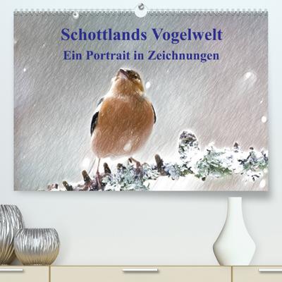 Schottlands Vogelwelt - Ein Porträt in Zeichnungen (Premium, hochwertiger DIN A2 Wandkalender 2023, Kunstdruck in Hochglanz) : Dieser Kalender ist ein Streifzug durch die Vogelwelt Schottlands in farbigen Zeichnungen (Monatskalender, 14 Seiten ) - Friederike Küster