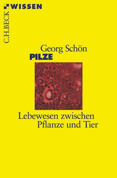 Pilze - Georg Schön