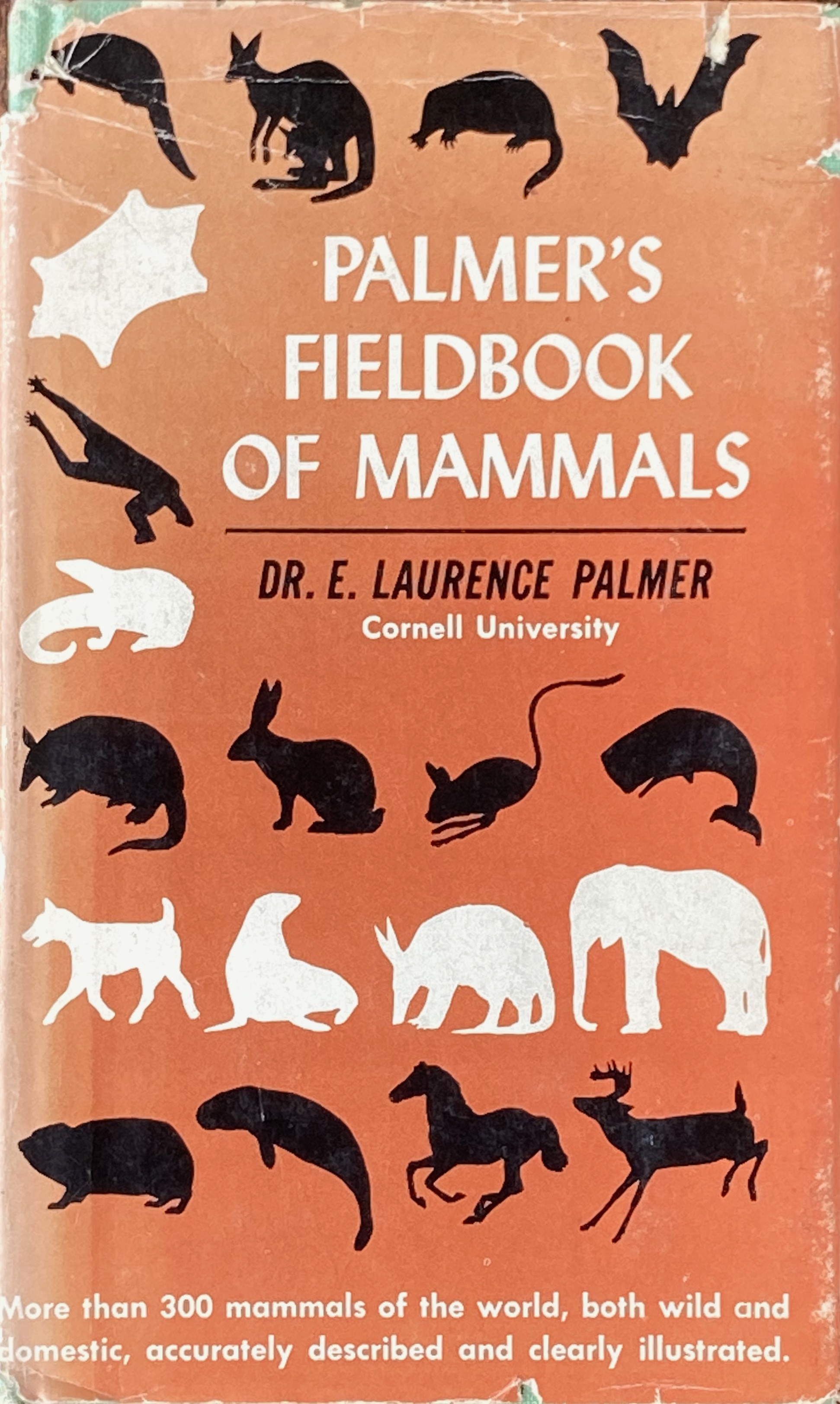 Palmer's field book of mammals by Palmer, E.L. V.g. Hard covers, dust