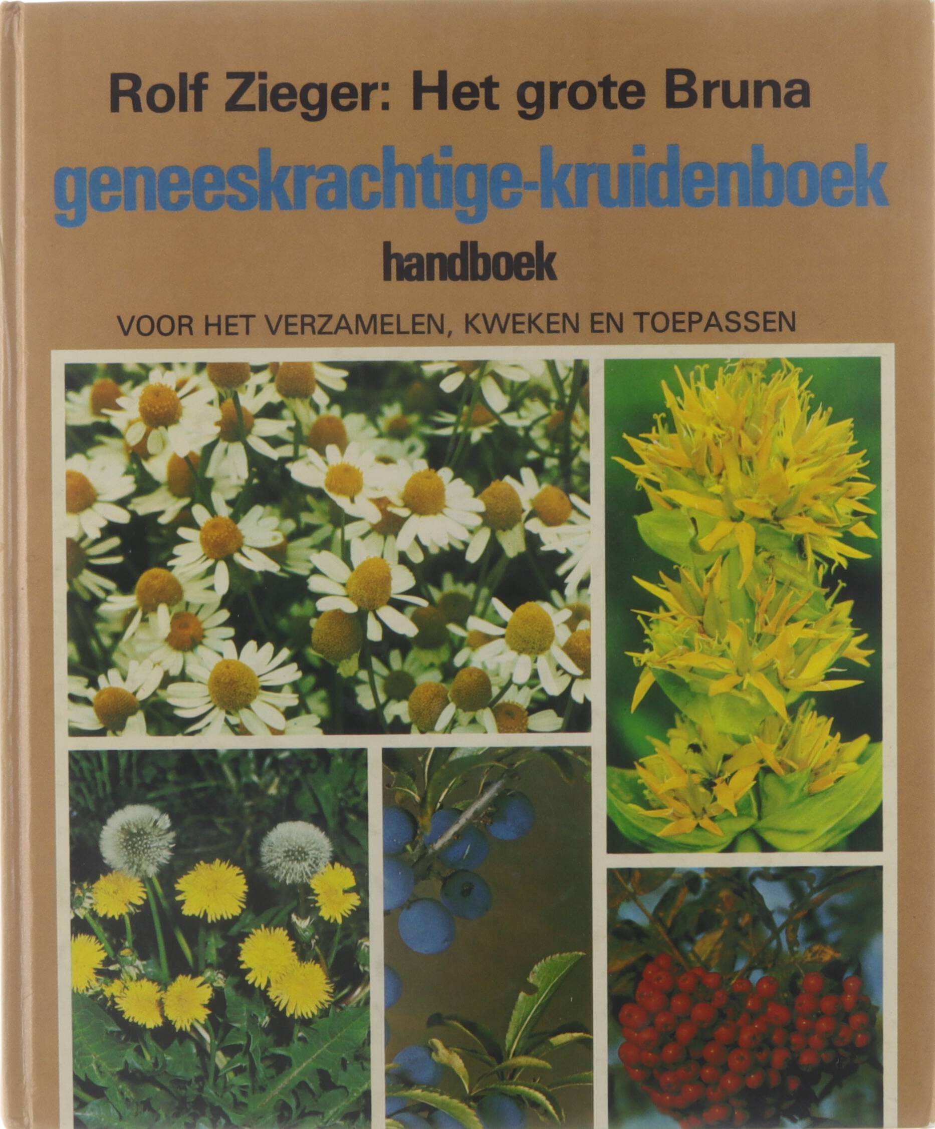 Het grote Bruna geneeskrachtige kruiden-boek : handboek voor het verzamelen, kweken en toepassen - Rolf Zieger; W Bol