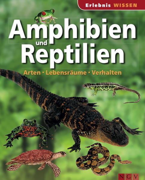 Amphibien und Reptilien: Arten, Lebensräume, Verhalten (Wissen für Kinder) - unbekannt