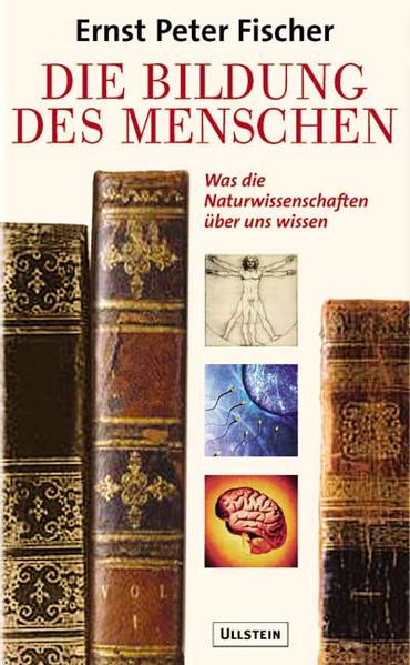 Die Bildung des Menschen: Was die Naturwissenschaften über uns wissen - Fischer Ernst, P.