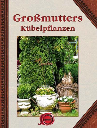 Großmutter Kübelpflanzen