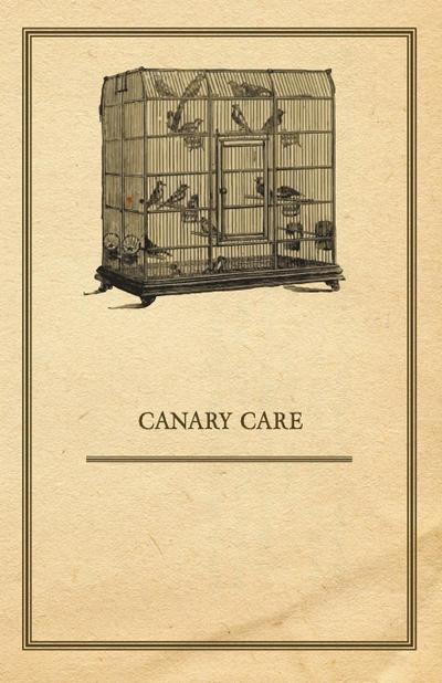 Canary Care - Anon