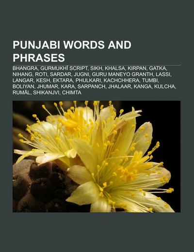 Punjabi words and phrases - Source