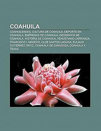 Coahuila : Coahuilenses, Cultura de Coahuila, Deporte en Coahuila, Empresas de Coahuila, Geografía de Coahuila, Historia de Coahuila, Venustiano Carranza, Francisco I. Madero, Club Santos Laguna, Eulalio Gutiérrez Ortiz, Coahuila de Zaragoza - Fuente