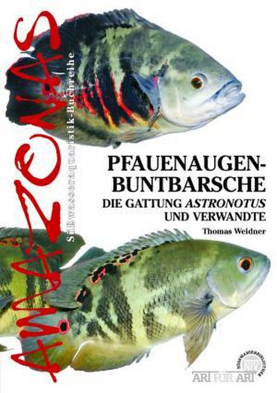 Pfauenaugen-Buntbarsche - Thomas Weidner