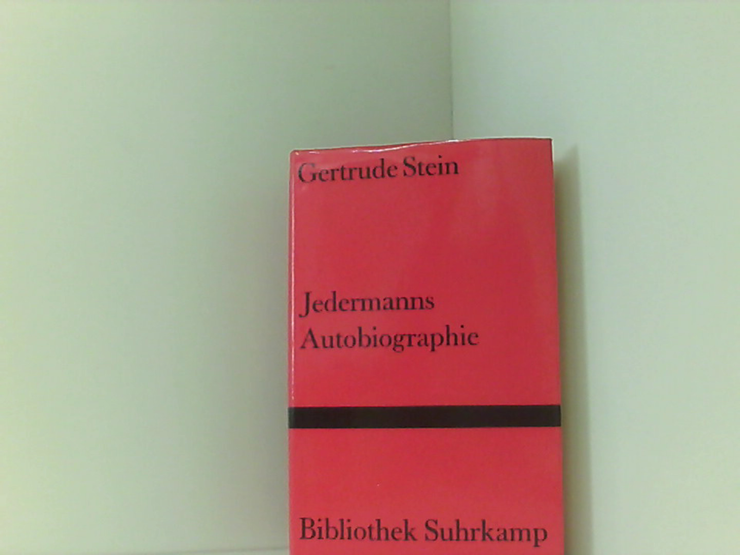 Jedermanns Autobiographie - Gertrude, Stein und Stiebel Marie-Anne