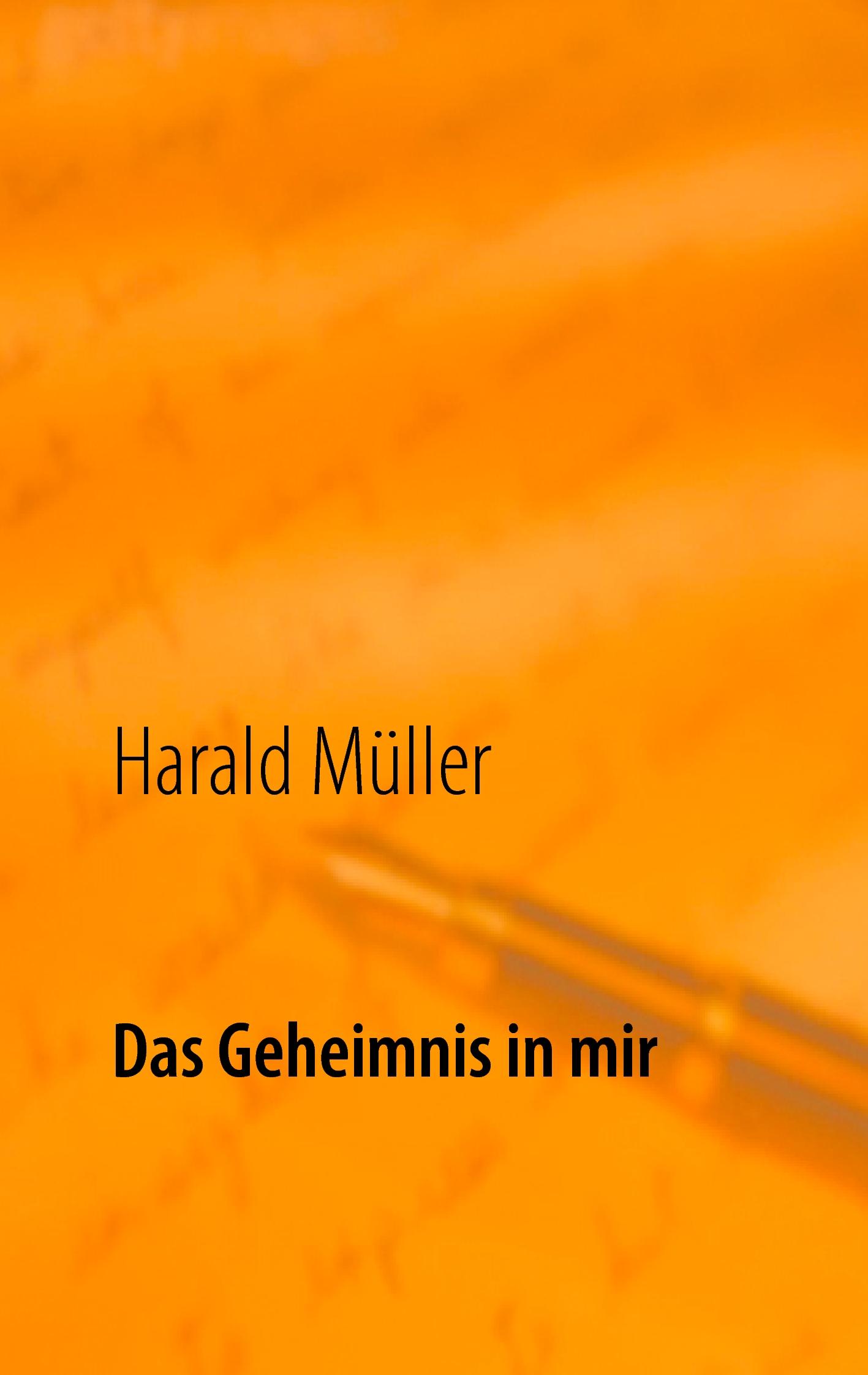 Das Geheimnis in mir - Müller, Harald