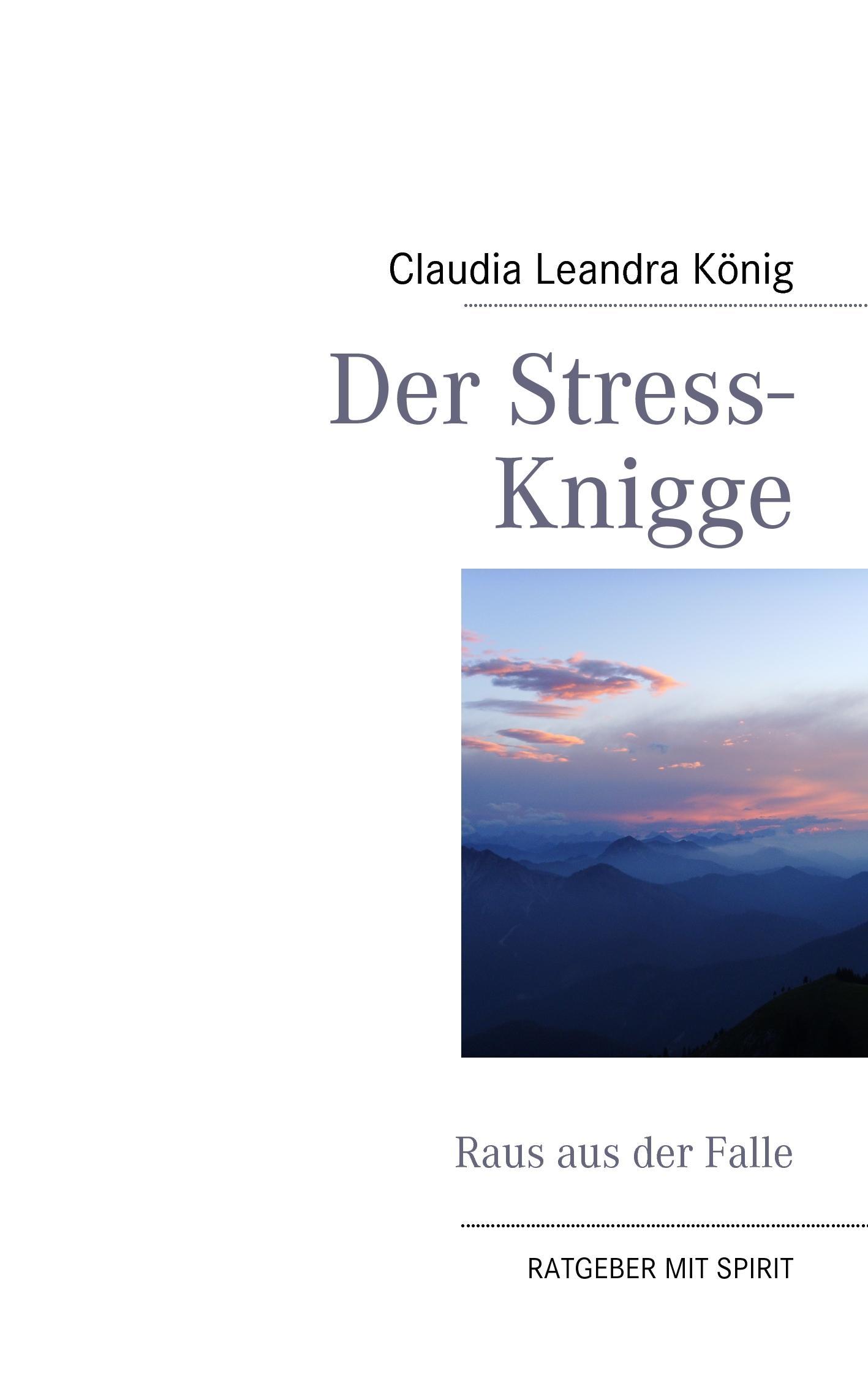 Der Stress-Knigge - König, Claudia Leandra