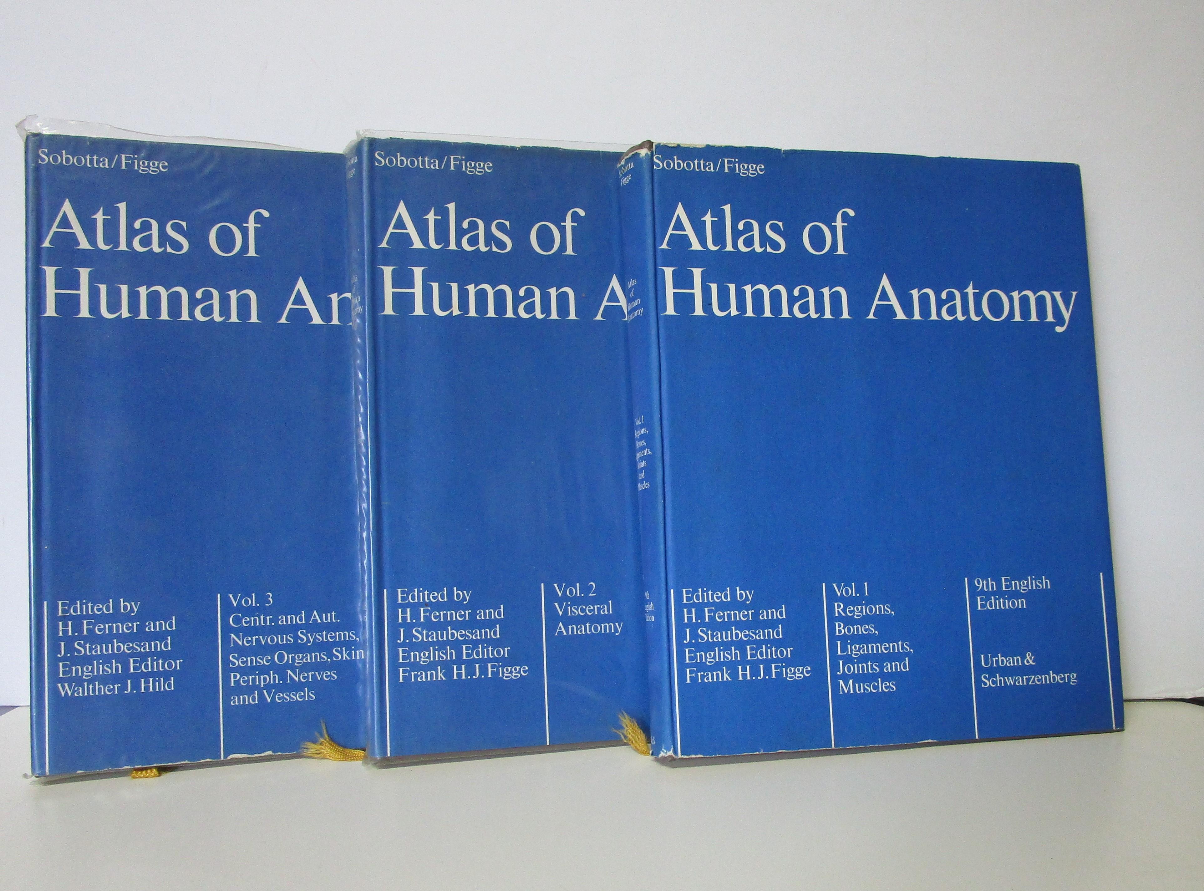 Atlas of Human Anatomy (3 volume set) by H. Ferner and J.Staubesand