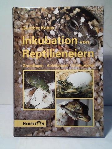 Inkubation von Reptilieneiern. Grundlagen - Anleitungen - Erfahrungen - Köhler, Gunther/ Eidenmüller, B./ Knirr, M./ Krüger, J./ Sachsse, W./ Seipp, R./ Wicker, R.