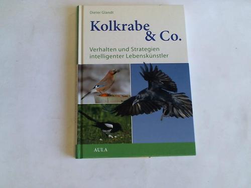 Kolkrabe & Co. Verhalten und Strategien intelligenter Lebenskünstler - Glandt, Dieter