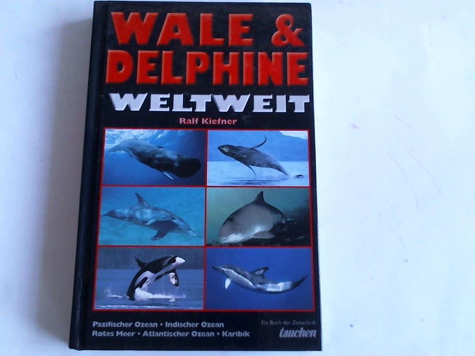 Wale & Delphine weltweit. Pazifischer Ozean, Indischer Ozean, Rotes Meer, Atlantischer Ozean, Karibik, Arktis, Antarktis - Kiefner, Ralf