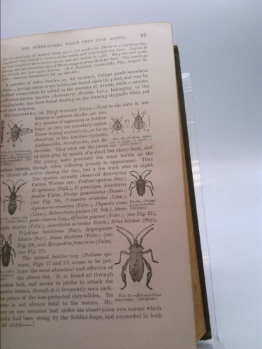 Fourth Report of the United States Entomological Commission. on the ...