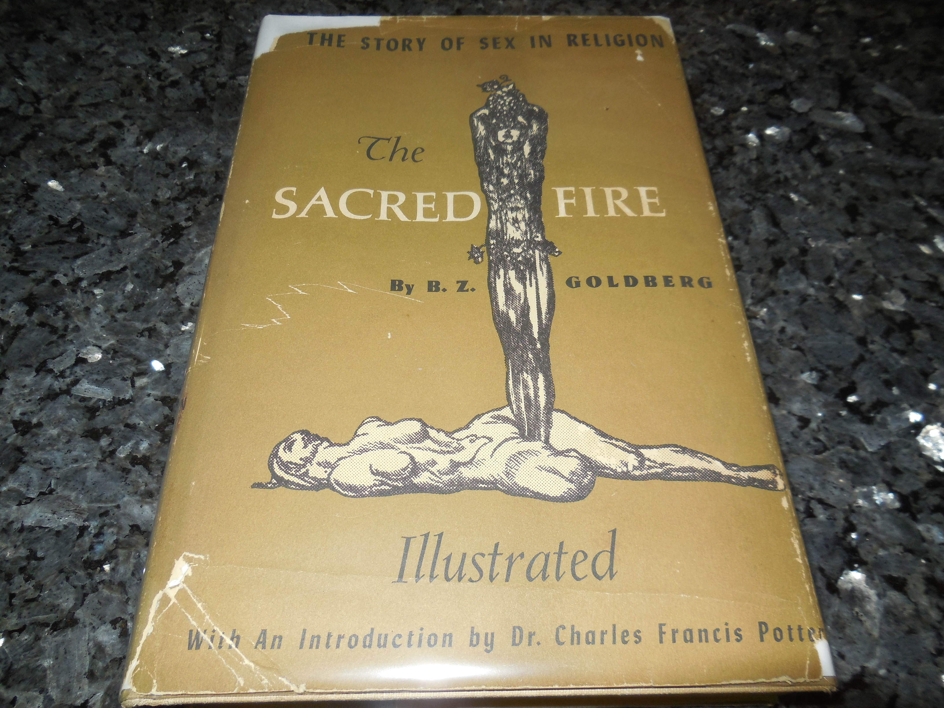 The Sacred Fire - The Story of Sex in Religion by Goldberg ...