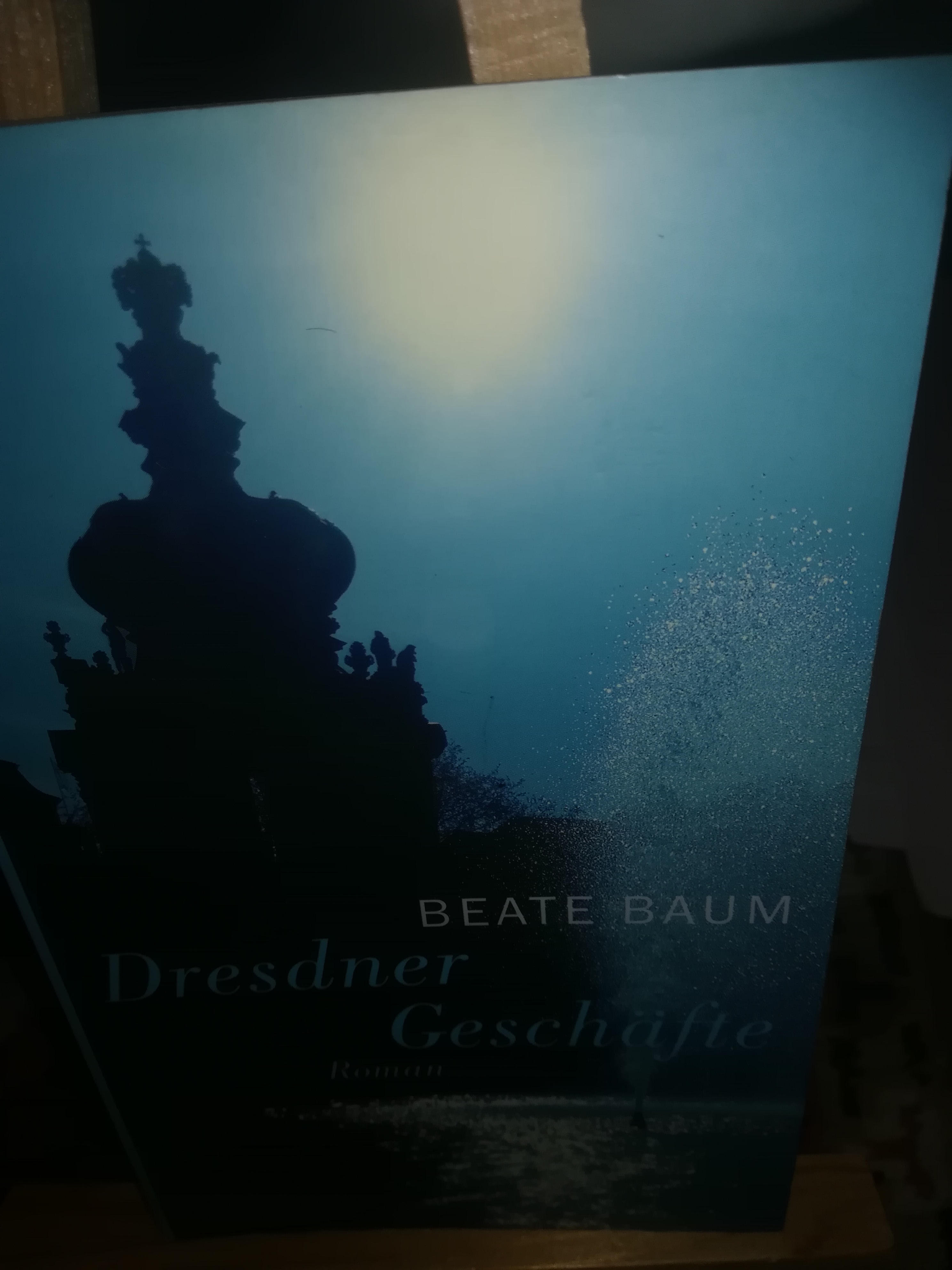 Dresdner Geschäfte - Baum Beate