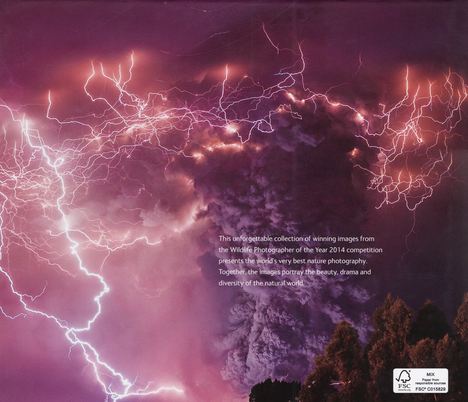 Wildlife Photographer Of The Year Portfolio 24 by No Listed Authors