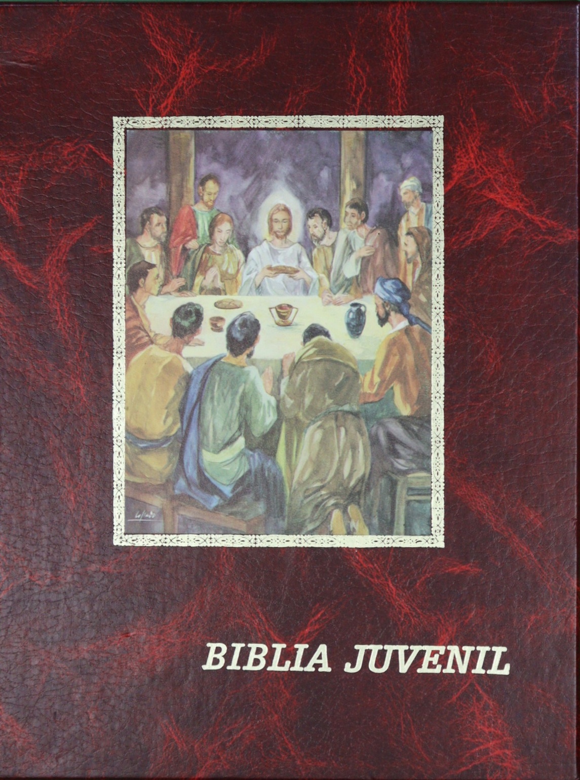 Biblia juvenil - VV.AA.