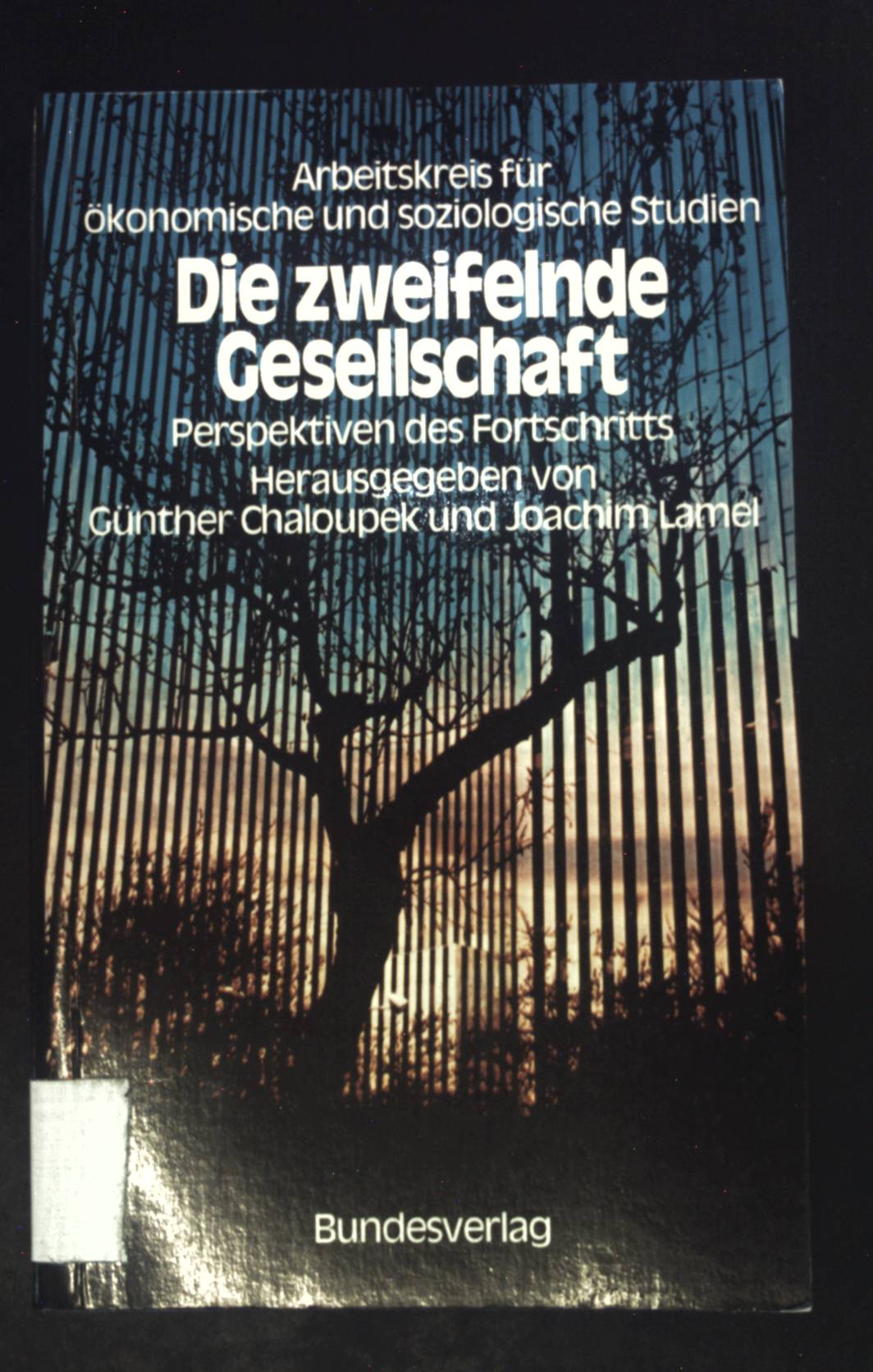 Die zweifelnde Gesellschaft : Perspektiven d. Fortschritts. - Chaloupek, Günther K.