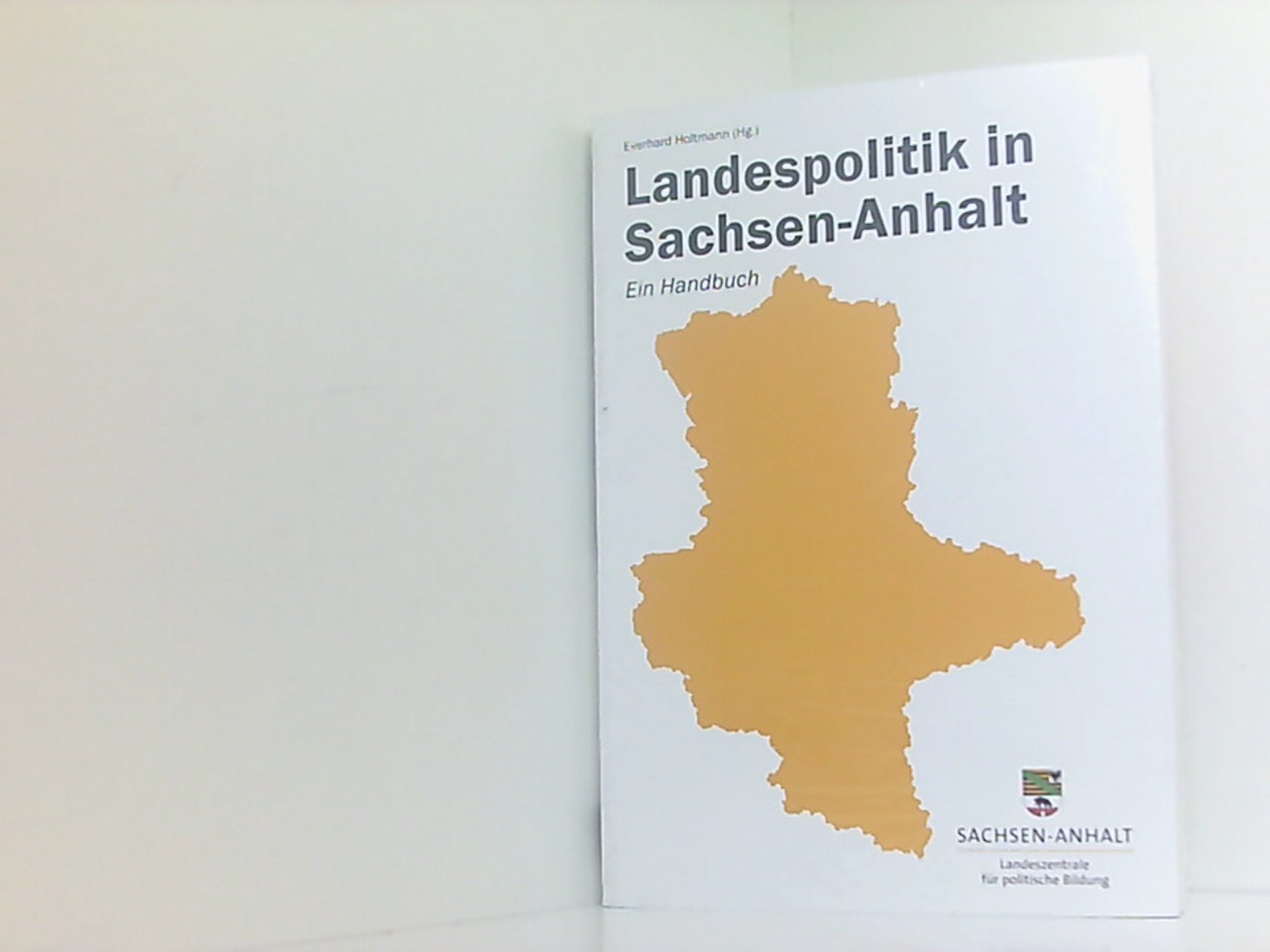 Landespolitik in Sachsen-Anhalt: Ein Handbuch - Holtmann, Everhard