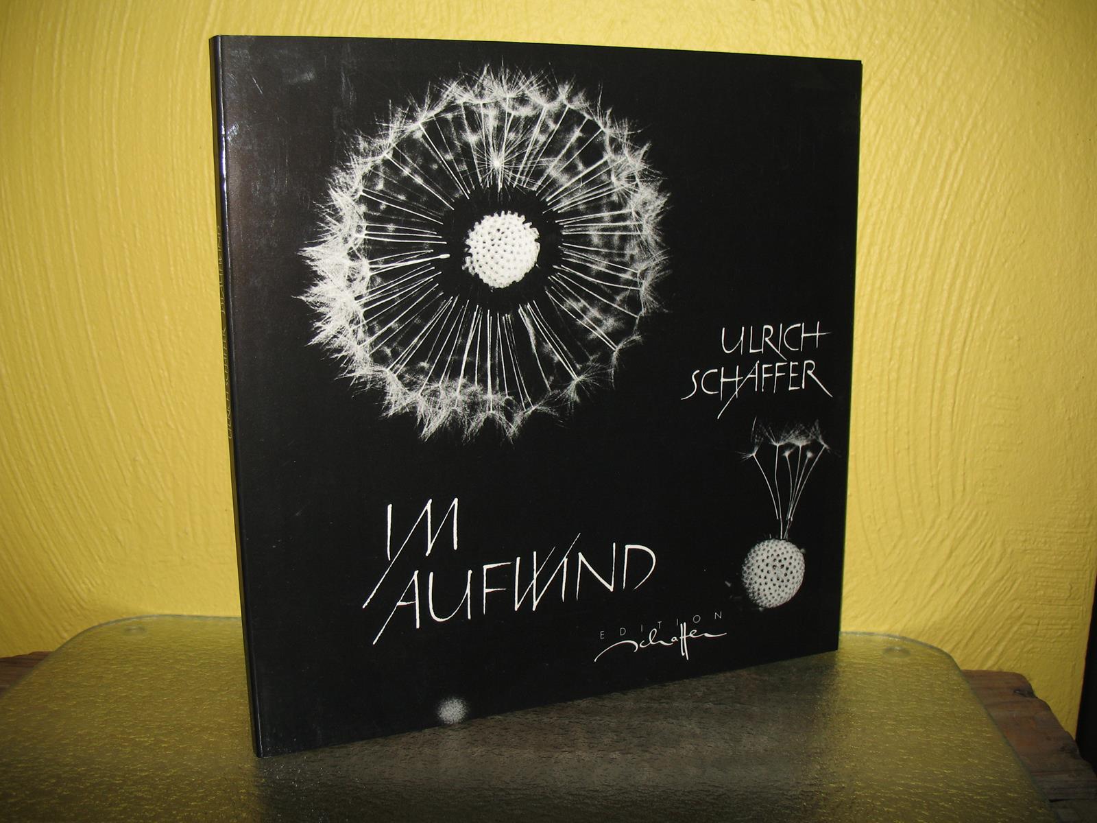 Im Aufwind. - Schaffer, Ulrich