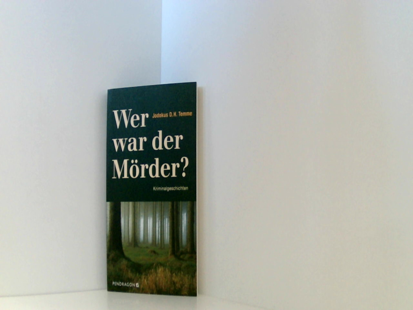 Wer war der Mörder?: Kriminalgeschichten - Jodokus D. H., Temme