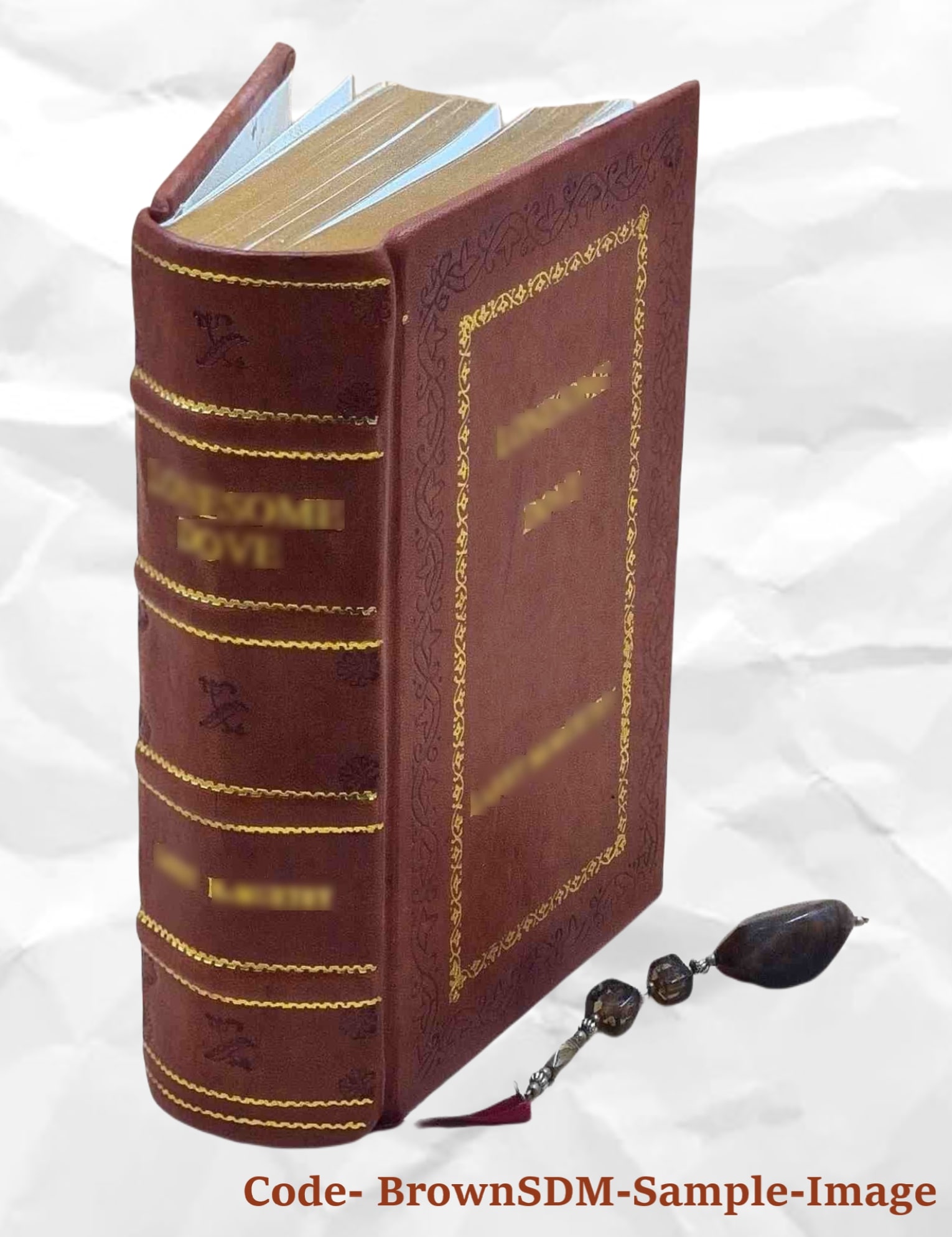 Catholic Student Bible-NABRE [Premium Leather Bound] Confraternity of Christian Doctrine [New] [Hardcover]