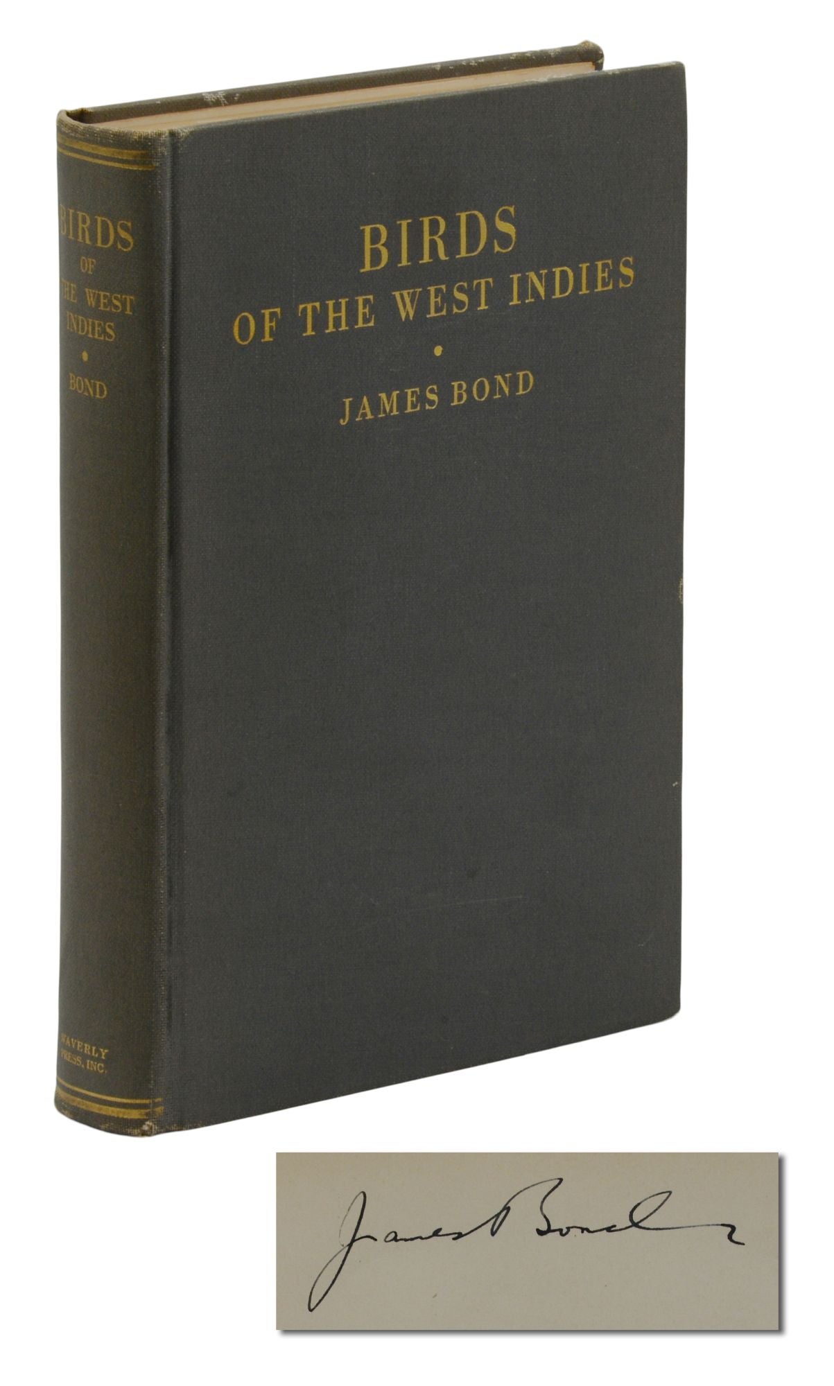 Field Guide to Birds of the West Indies - Bond, James