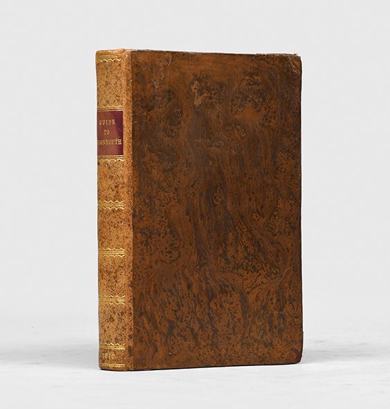 A Guide to the Watering Places, on the Coast, between the Exe and the Dart; including Teignmouth