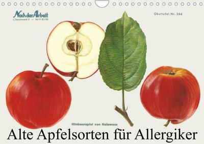 Alte Apfelsorten für Allergiker (Wandkalender 2023 DIN A4 quer) : Obstsortentafeln von alten Apfelsorten für Allergiker (Monatskalender, 14 Seiten ) - Willi