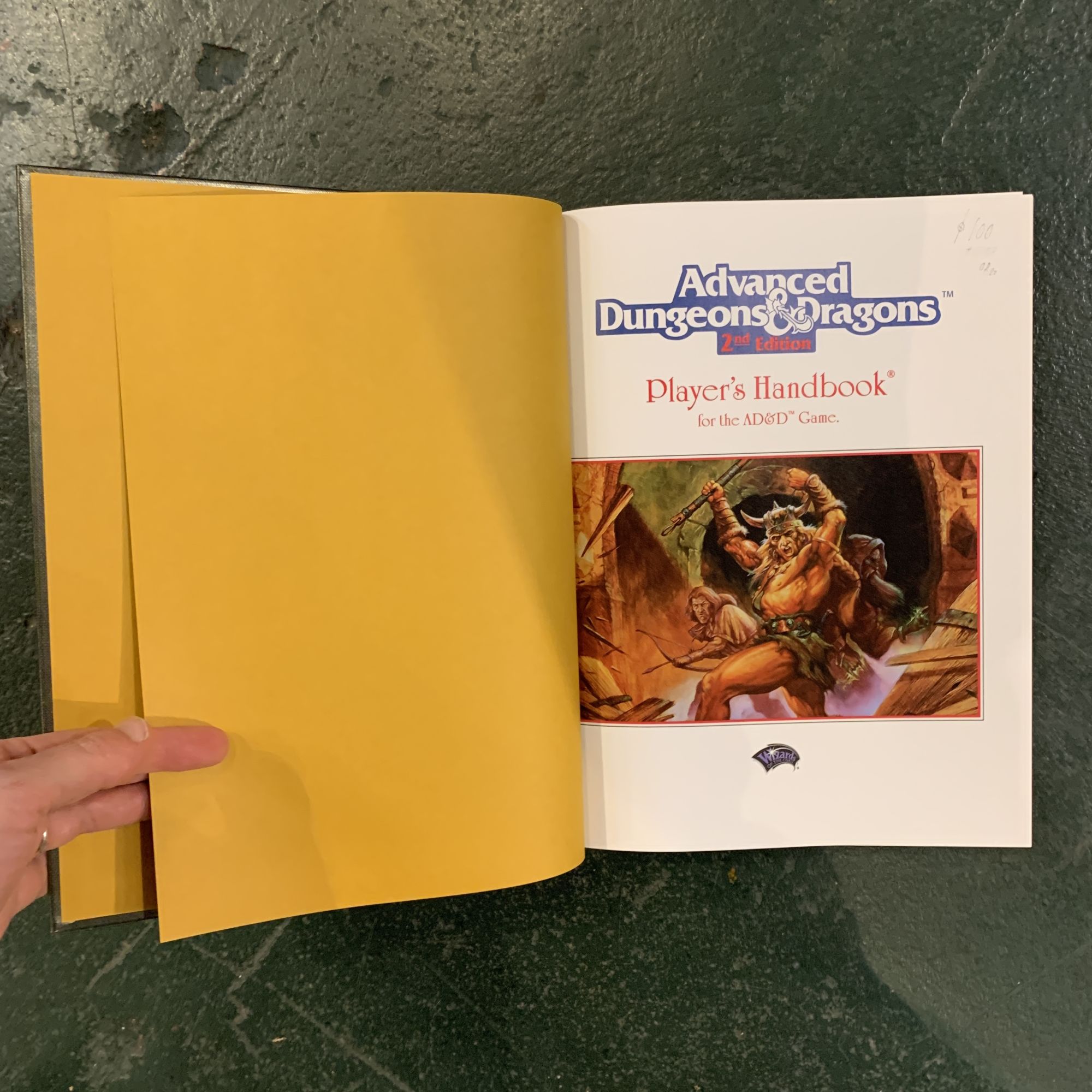 Advanced Dungeons & Dragons 2nd Edition, Player