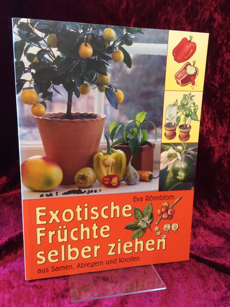 Exotische Früchte selber ziehen aus Samen, Ablegern und Knollen. Übertragen ins Deutsche von Kerstin Lehmann. - Rönnblom, Eva