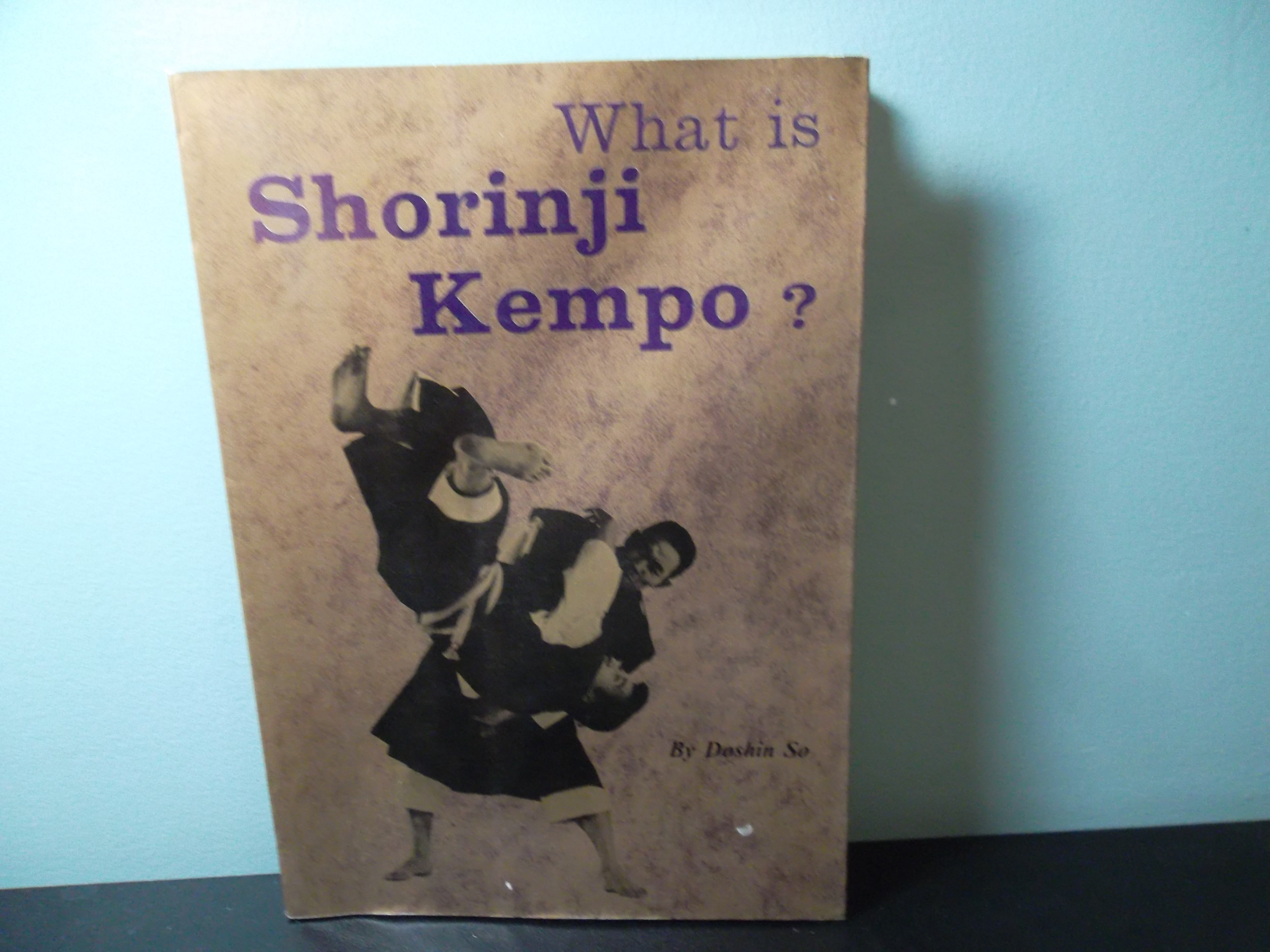 What is Shorinji Kempo? by Doshin So: Good + Soft cover (1974) | Eastburn  Books