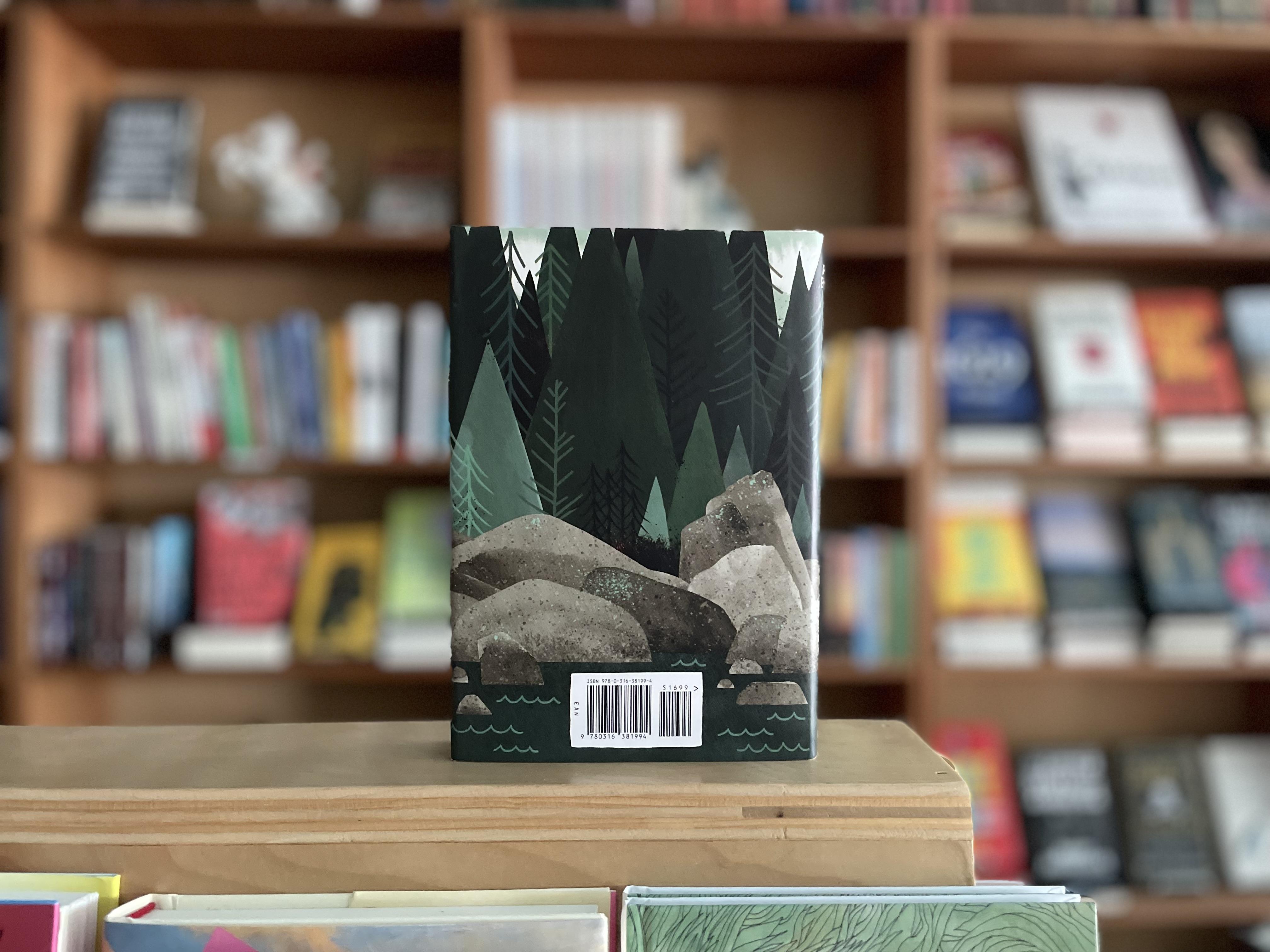 The Wild Robot (The Wild Robot, 1) by Peter Brown: Used Hardcover (2016