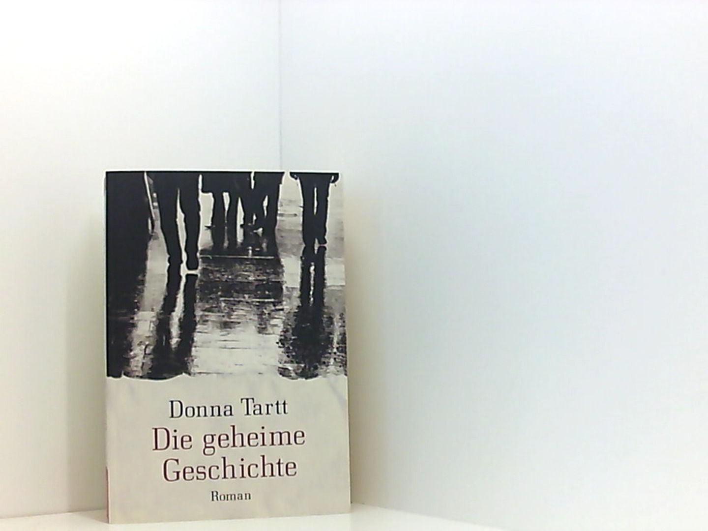 Die geheime Geschichte - Donna, Tartt und Schmidt Rainer