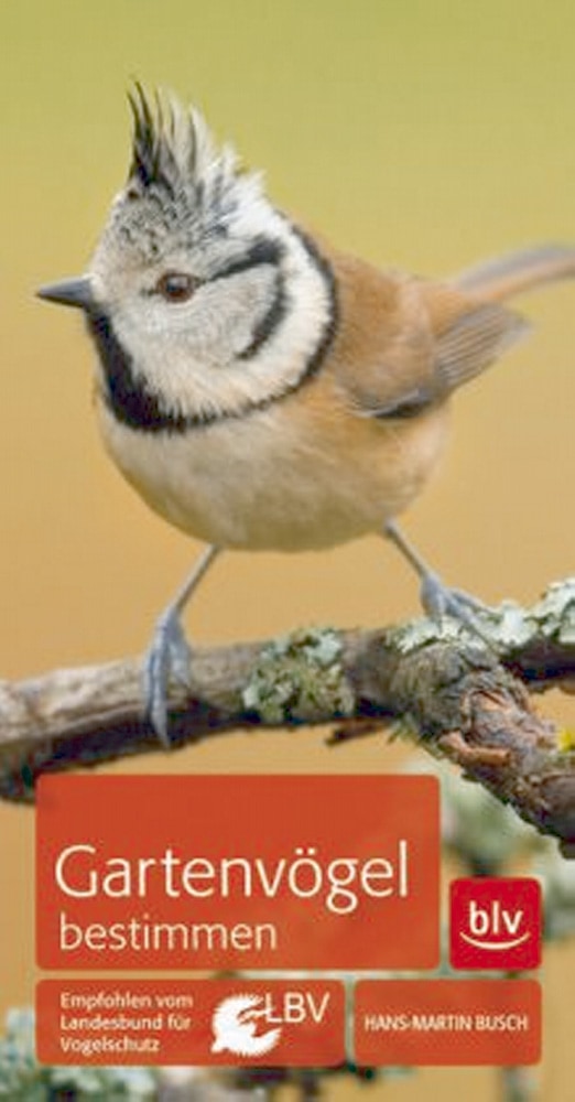 Gartenvögel bestimmen. - Hans-Martin Busch