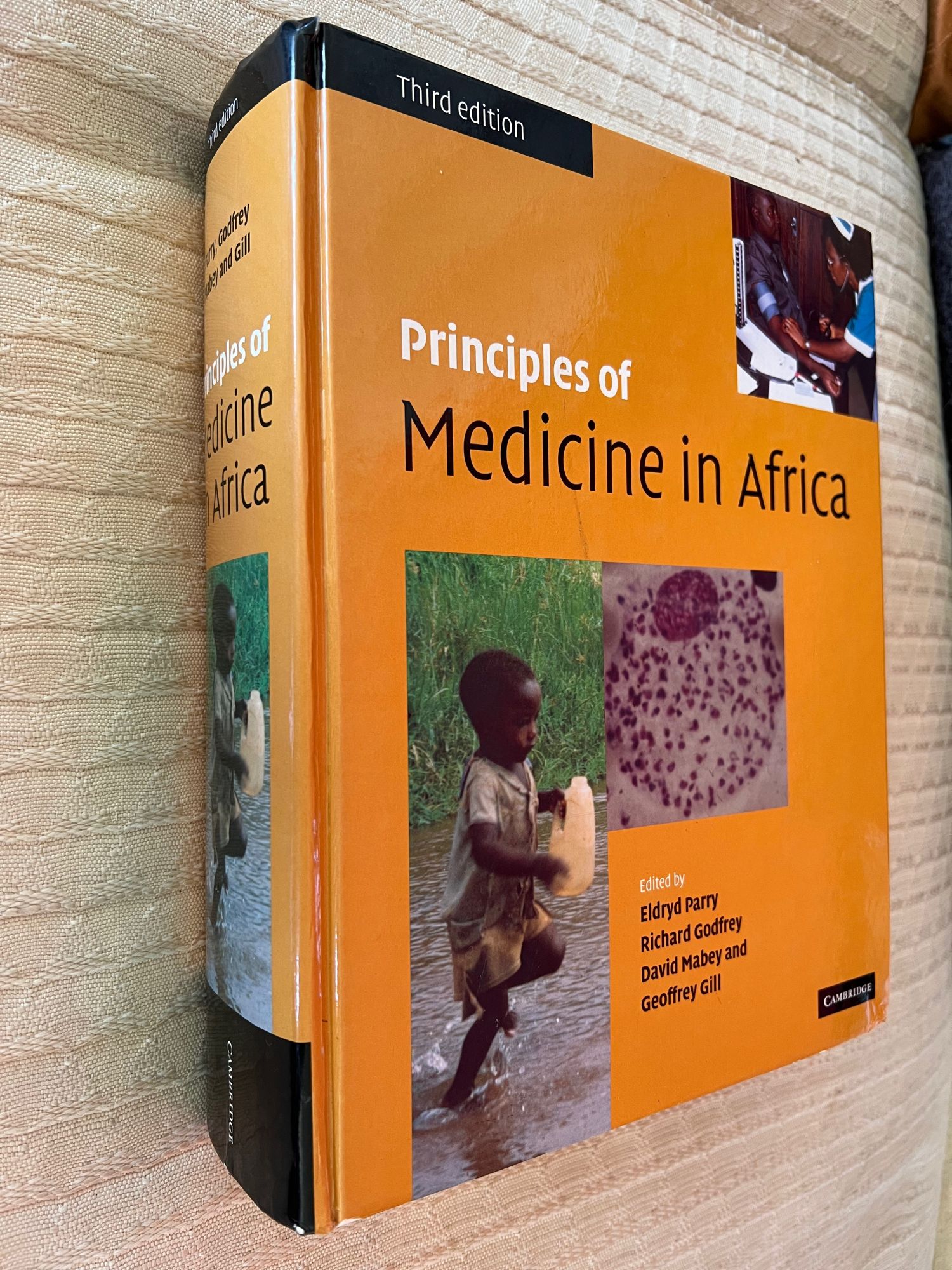 Principles of Medicine in Africa - Parry, E. H. O.