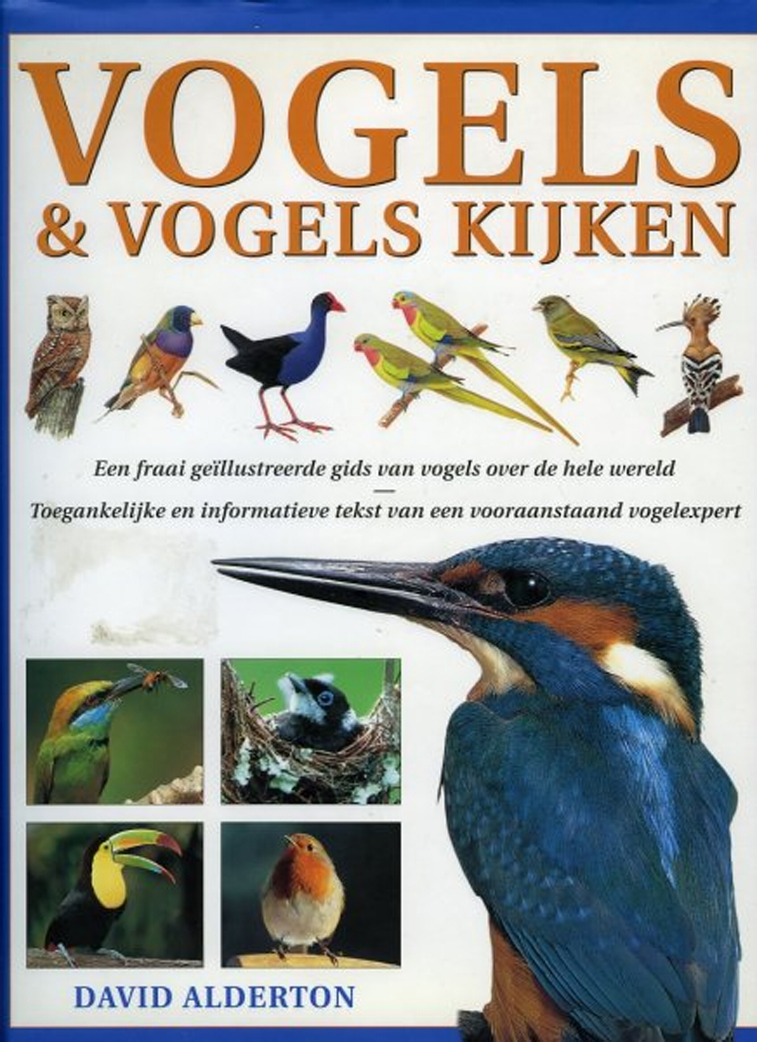 Vogels en vogels kijken. Een fraai geillustreerde gids van vogels over de hele wereld. Toegankelijke en informatieve tekst van een vooraanstaand vogelexpert. - ALDERTON, DAVID