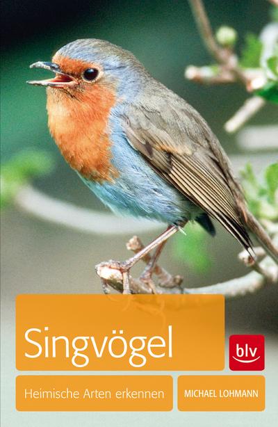 Singvögel: Heimische Arten erkennen - Michael Lohmann