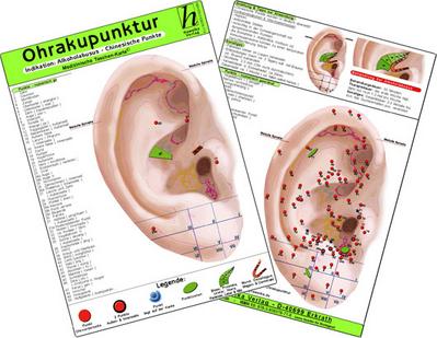 Ohrakupunktur - Indikation: Schwindel & Morbus Meniere - chinesische Ohrakupunktur.