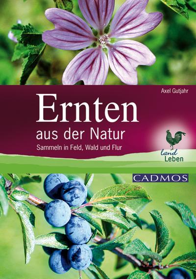 Ernten aus der Natur: Sammeln in Feld, Wald und Flur (LandLeben) - Axel Gutjahr