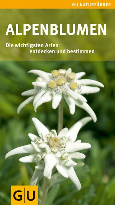 Alpenblumen : (die wichtigsten Arten entdecken und bestimmen) - Helga Hofmann