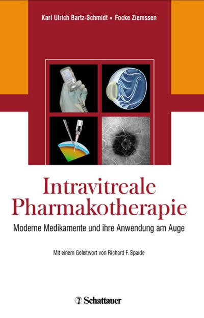 Intravitreale Pharmakotherapie: Moderne Medikamente und ihre Anwendung am Auge - U Bartz-Schmidt Karl