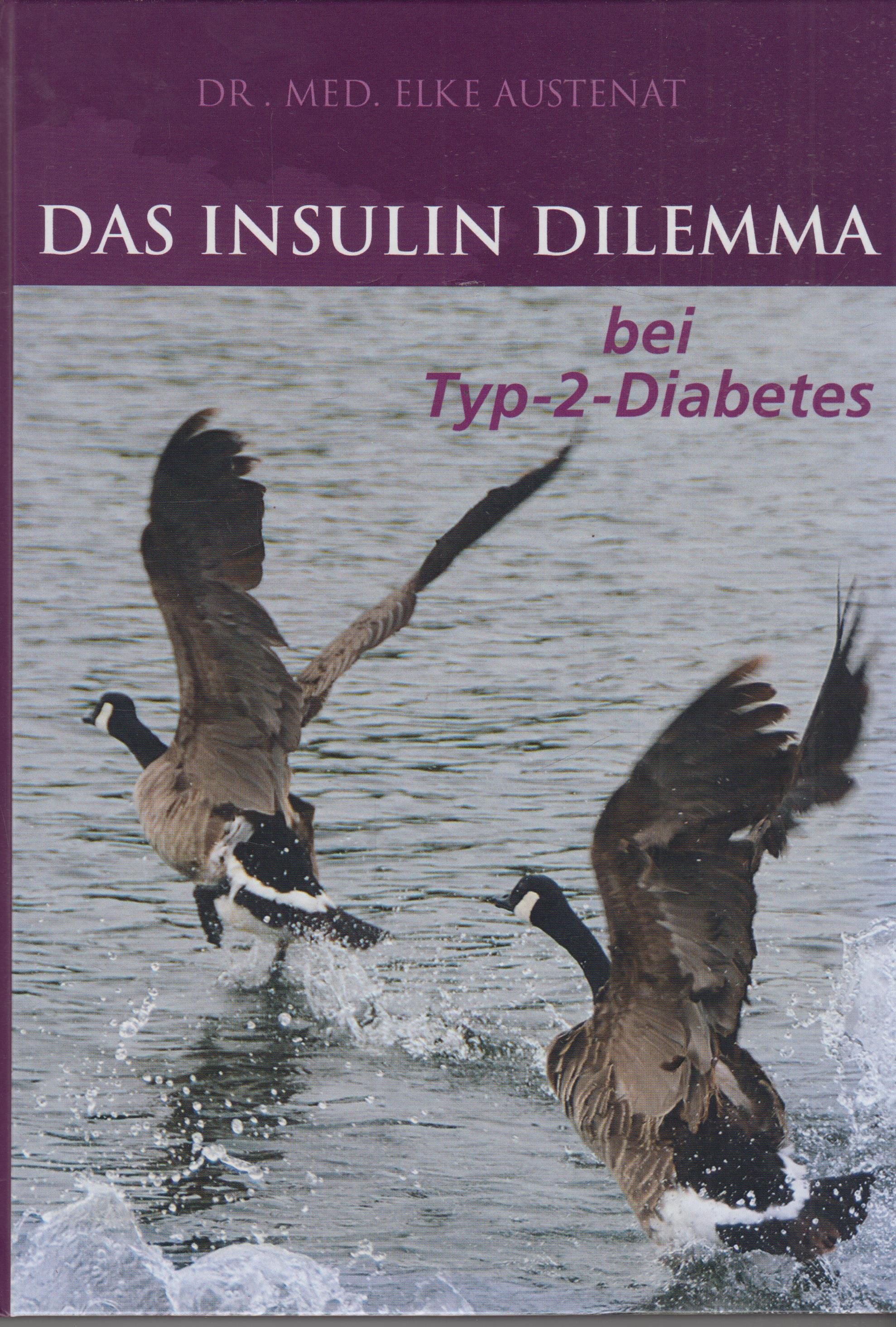 Das Insulin Dilemma bei Typ-2-Diabetes - Austenat, Elke